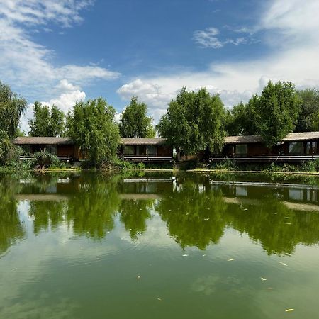 Отель Zaga Zaga Sat Tecuci Экстерьер фото